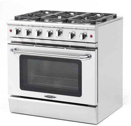 Capital 36" Precision Series Freestanding All Gas Range with 4.9 cu. ft Oven in Stainless Steel (MCR366)